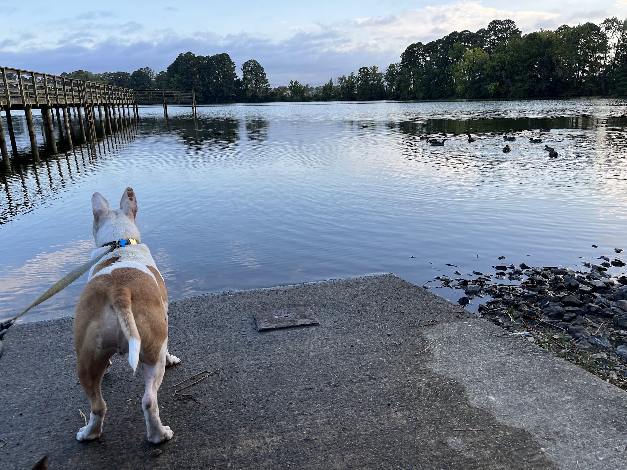 Pavillon #1 - Hampton, VA