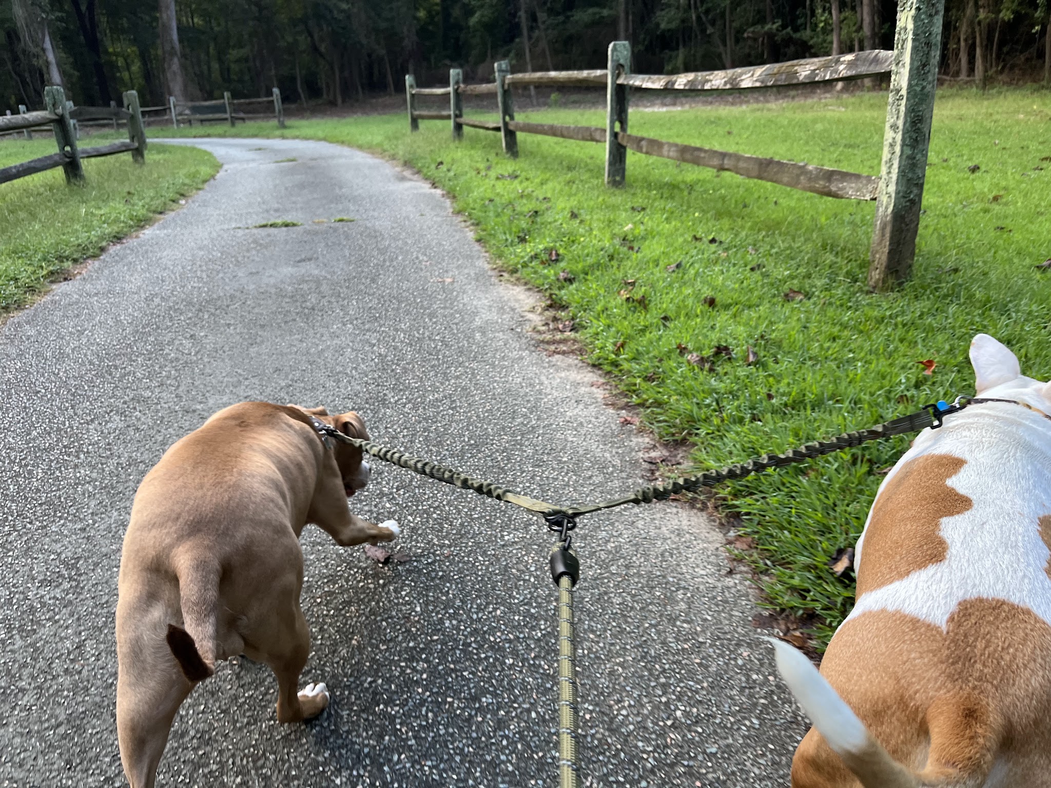 Pavillon #1 - Hampton, VA