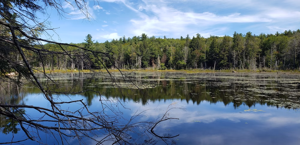 Harrisville Rail Trail - Hancock, NH