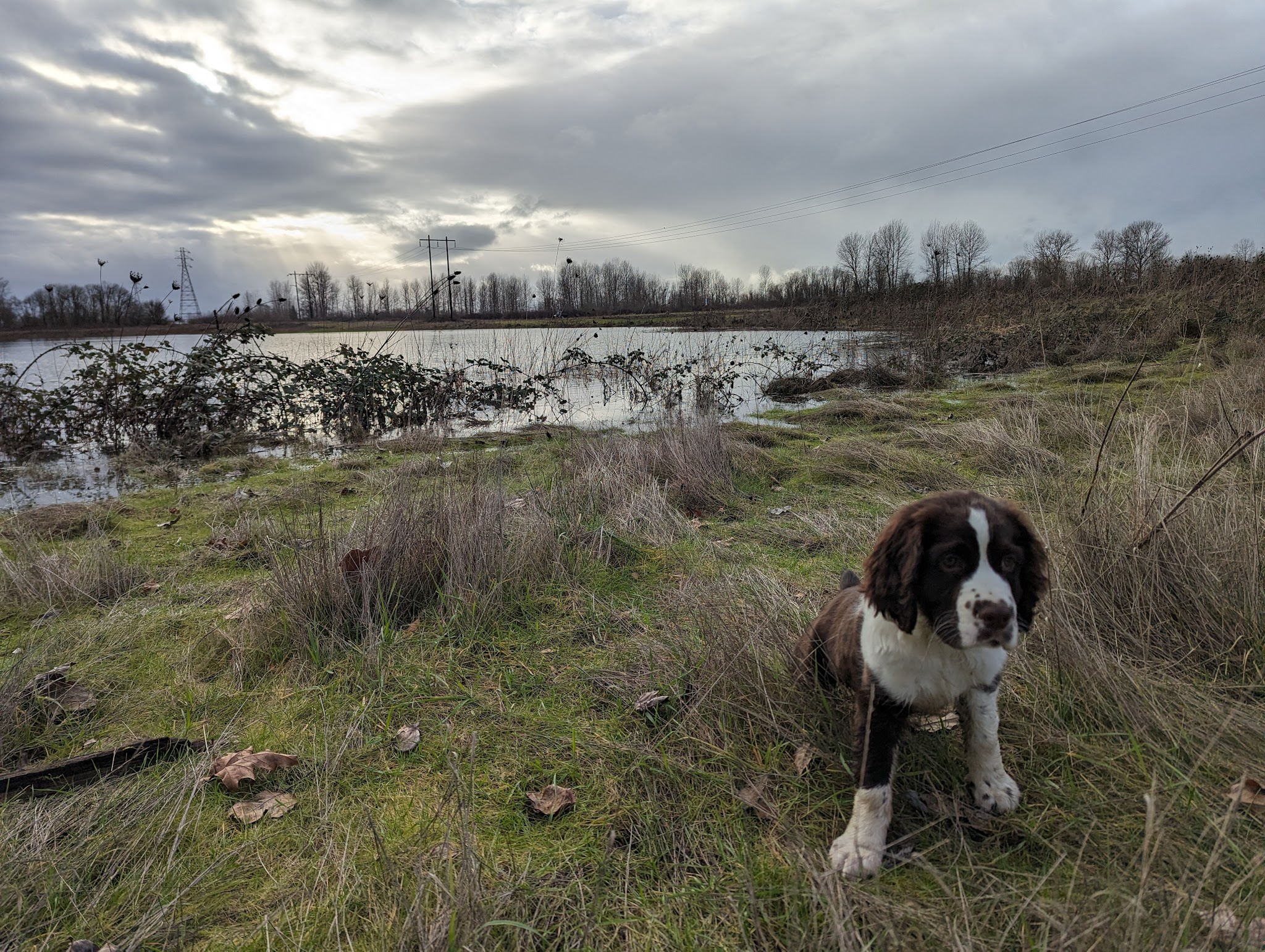 Eagle park - Harrisburg, OR