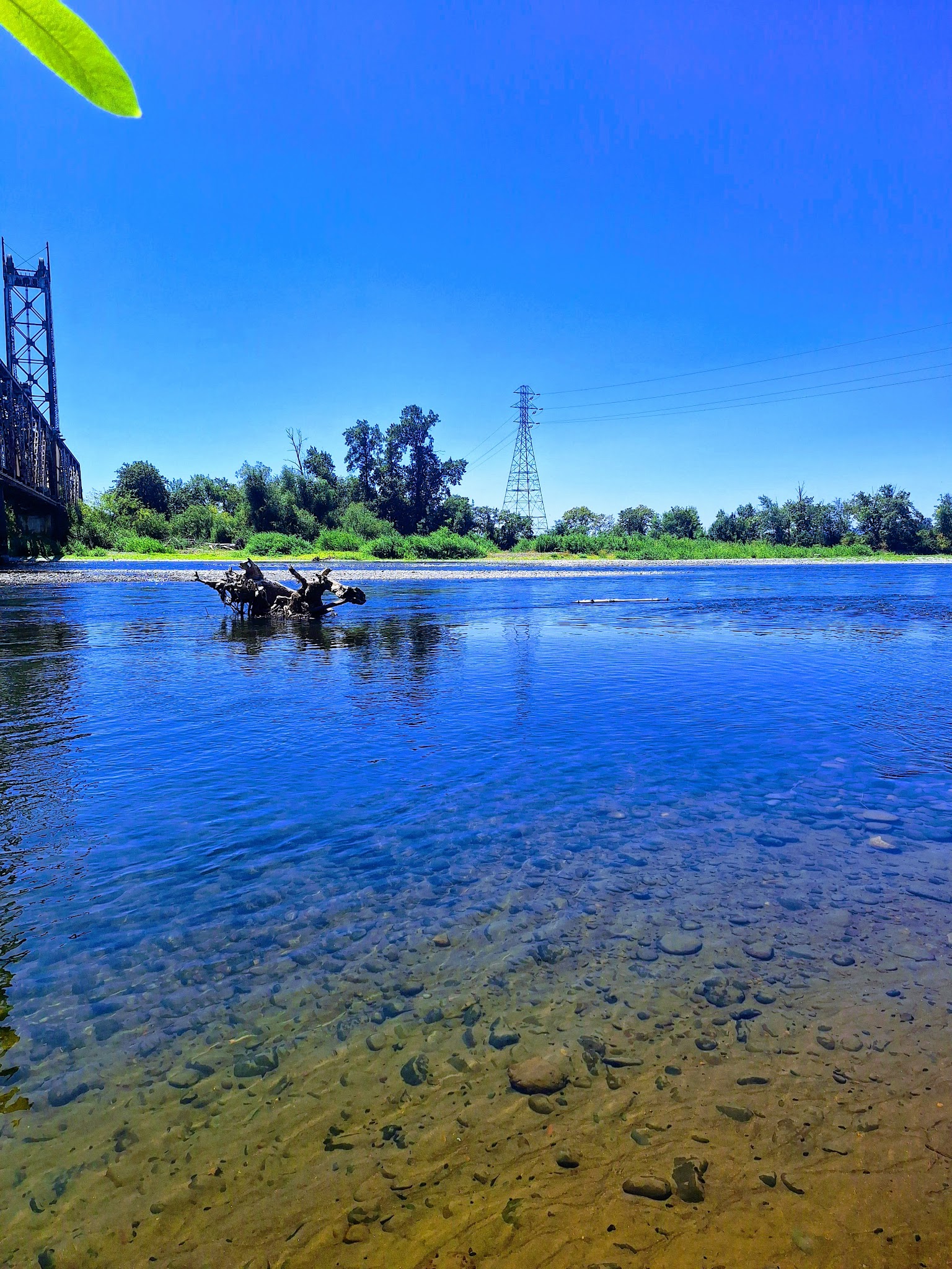 Eagle park - Harrisburg, OR