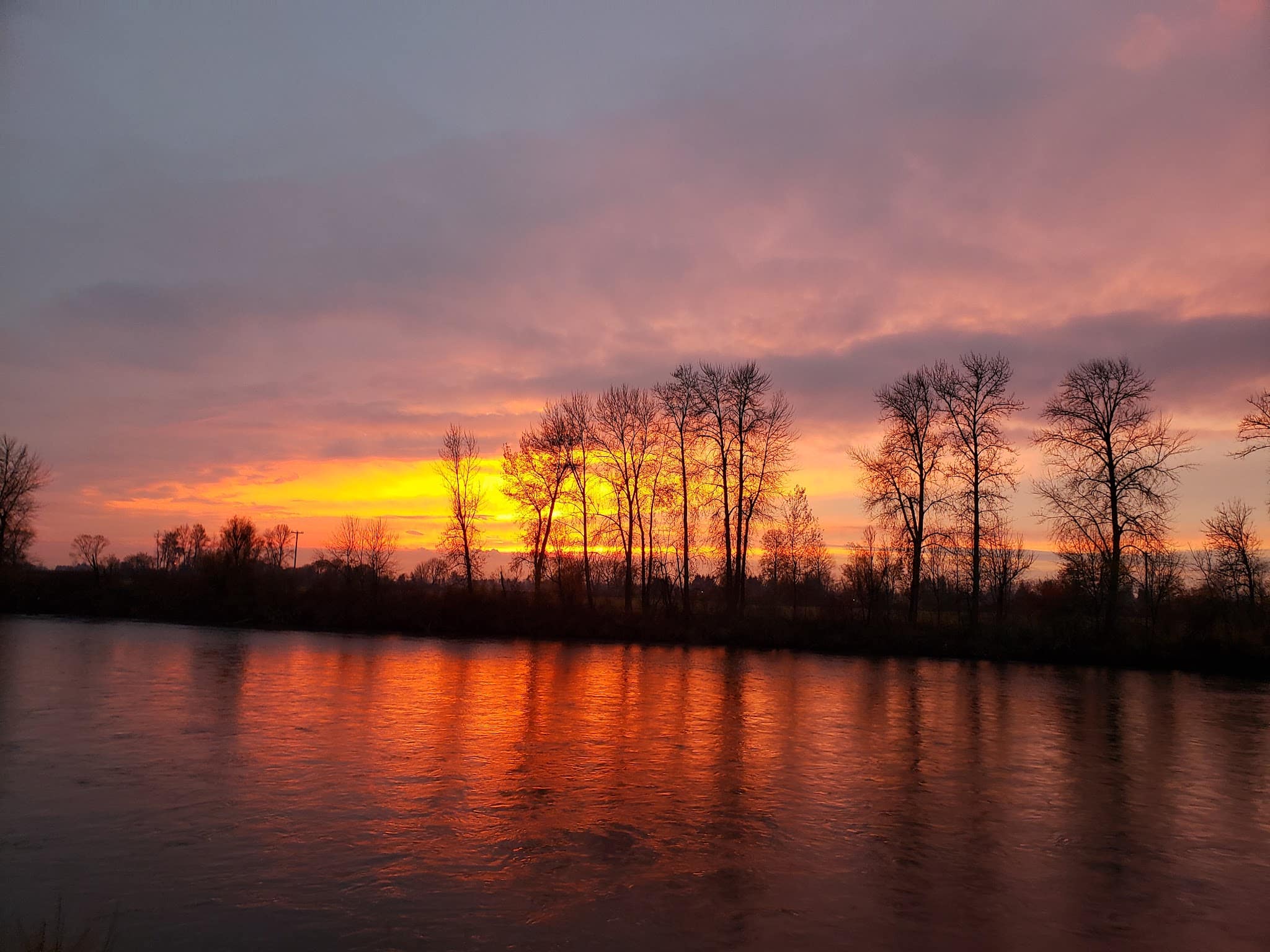 Riverfront Park - Harrisburg, OR