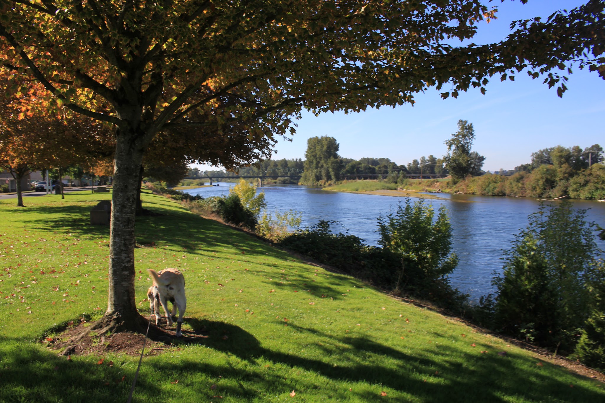 Riverfront Park - Harrisburg, OR