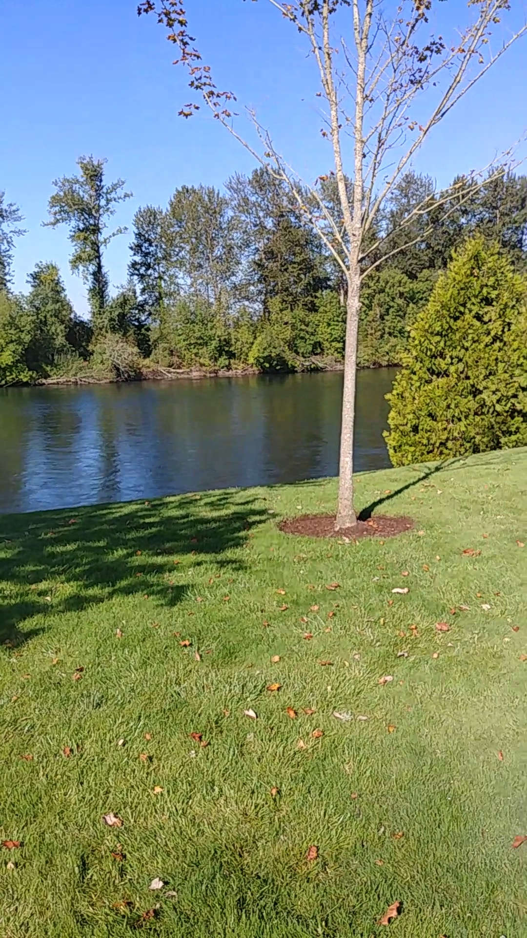 Riverfront Park - Harrisburg, OR