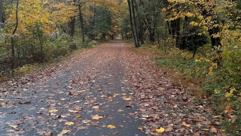 South County Trailway Farragut Av Parking - Hastings-On-Hudson, NY