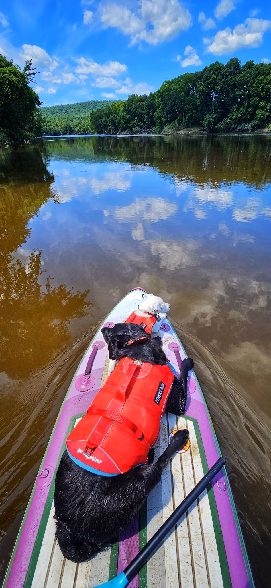 Horse Meadow Campsite - Haverhill, NH