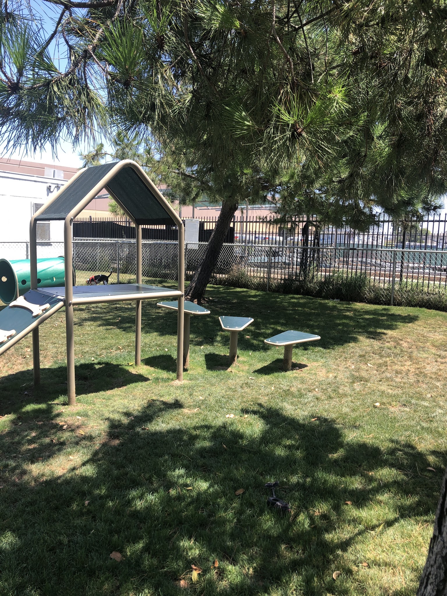 Memorial Dog Park - Hawthorne, CA