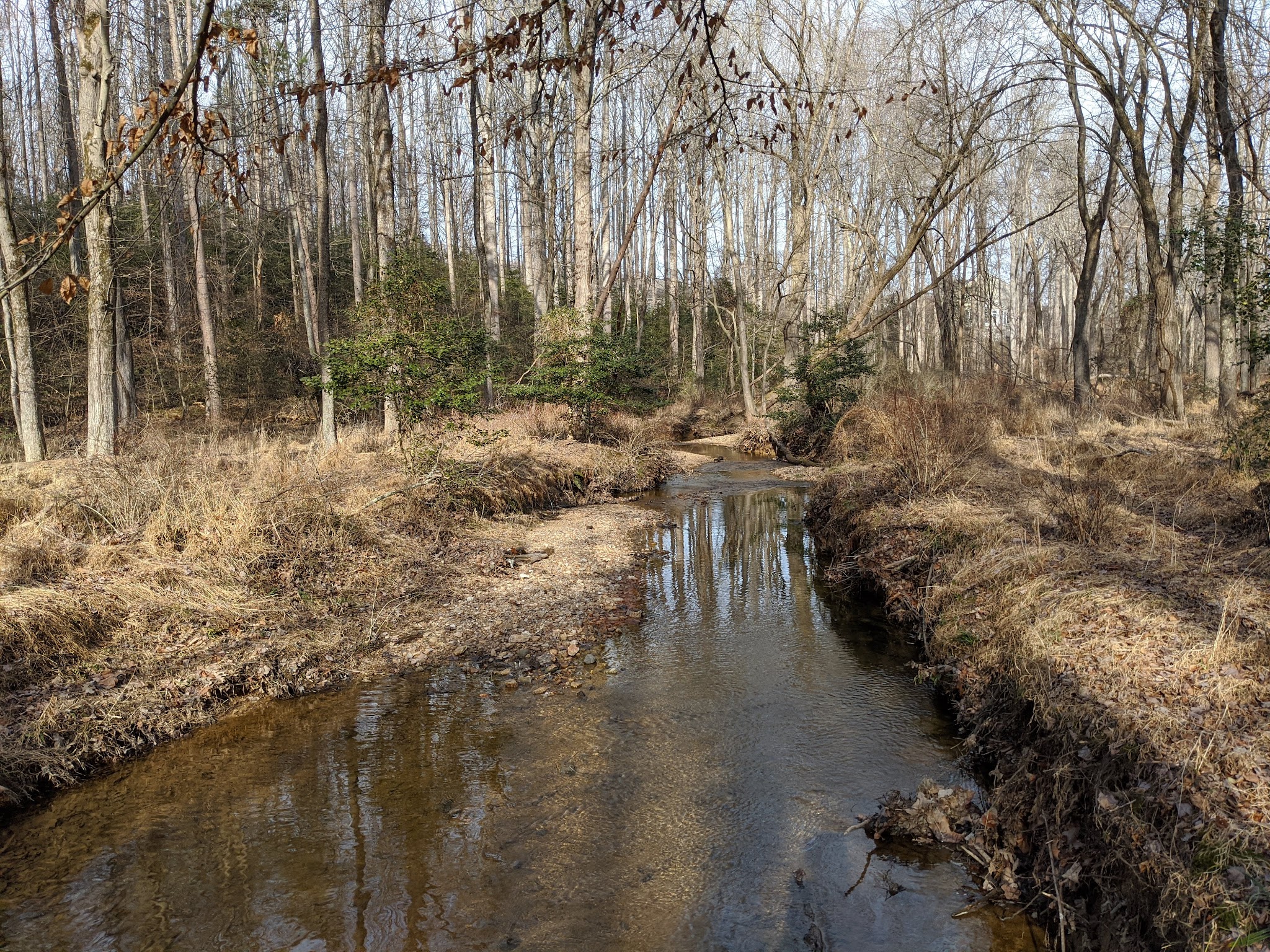 Little Difficult Run Stream Valley Park - Herndon, VA