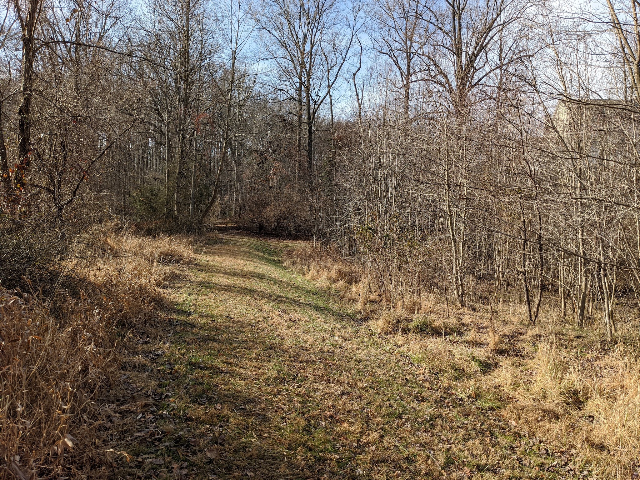 Little Difficult Run Stream Valley Park - Herndon, VA