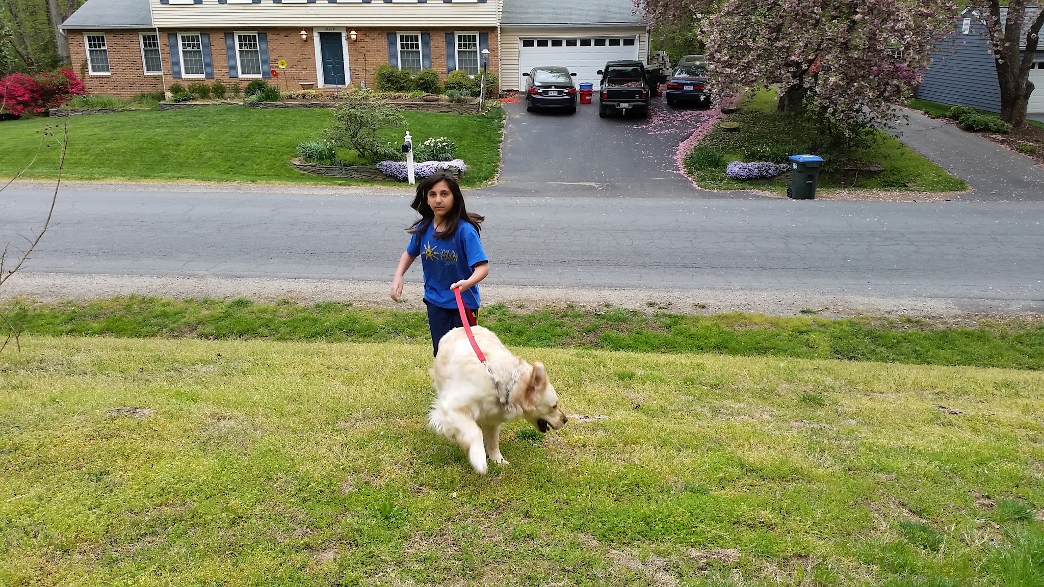 Little Difficult Run Stream Valley Park - Herndon, VA