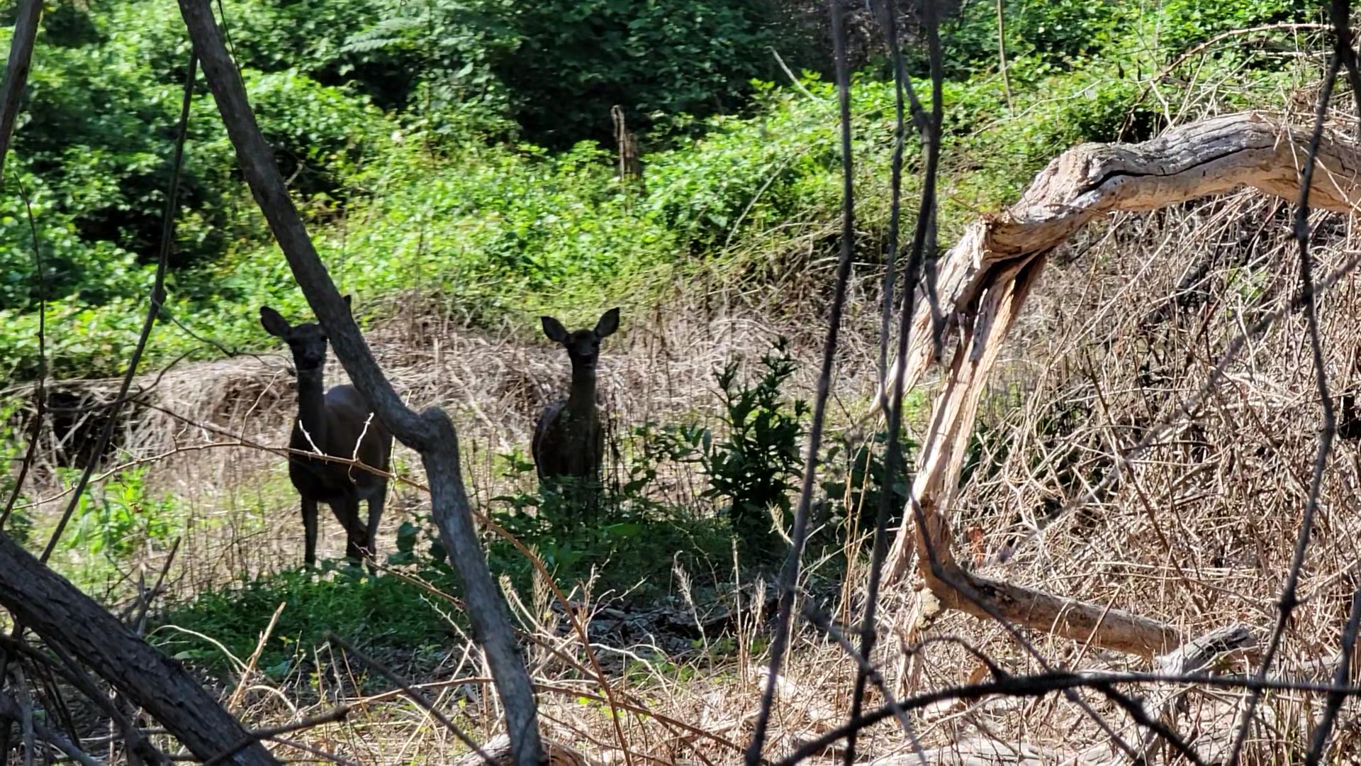 Hartshorne Woods Park, Rocky Point entrance - Highlands, NJ