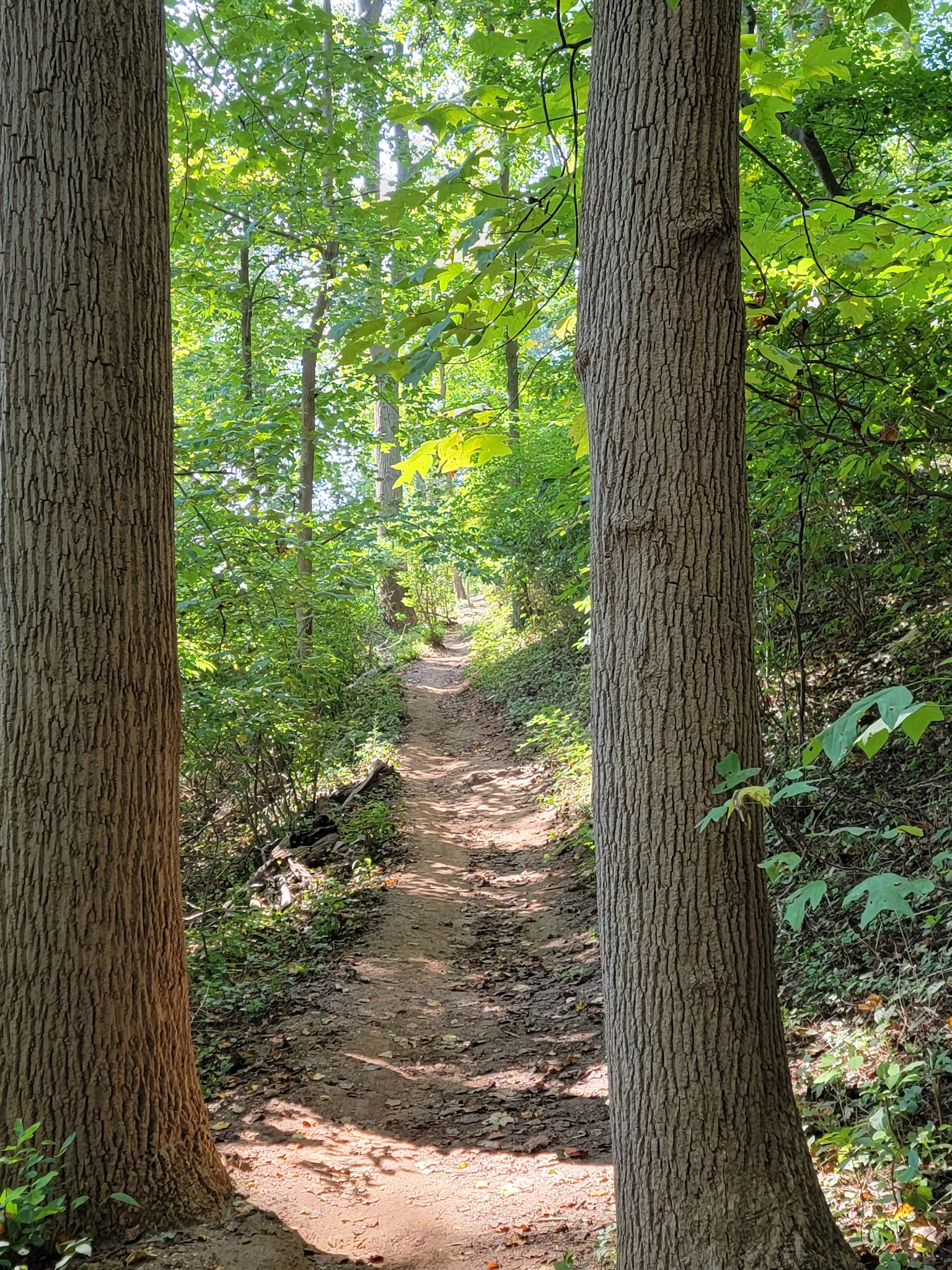 Hartshorne Woods Park, Rocky Point entrance - Highlands, NJ