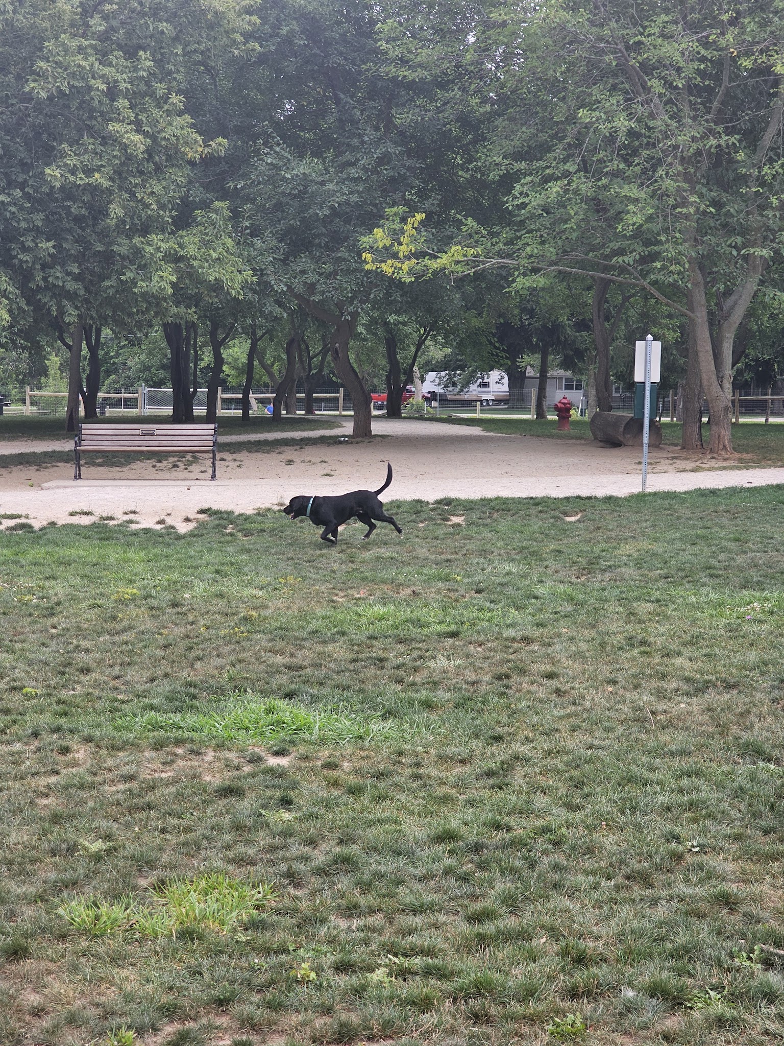 Dog Park at Van Raalte Farm Park - Holland, MI