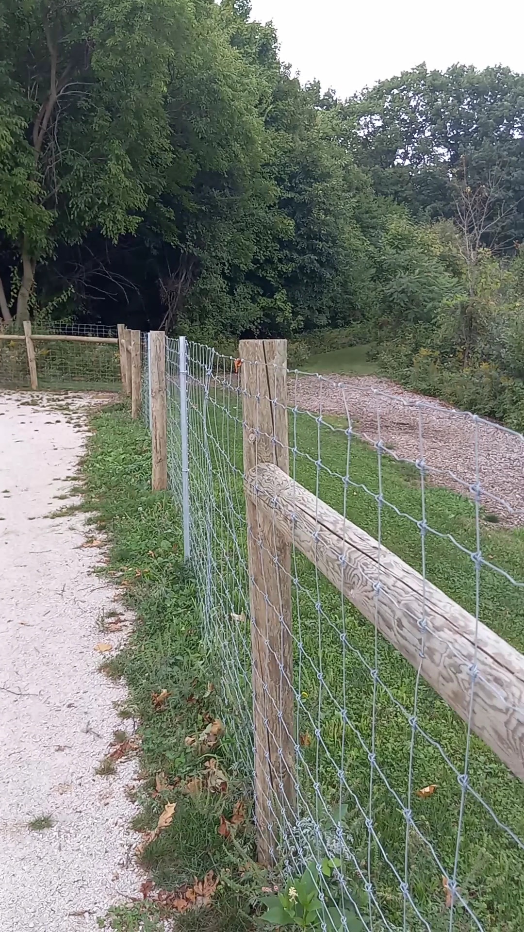 Dog Park at Van Raalte Farm Park - Holland, MI