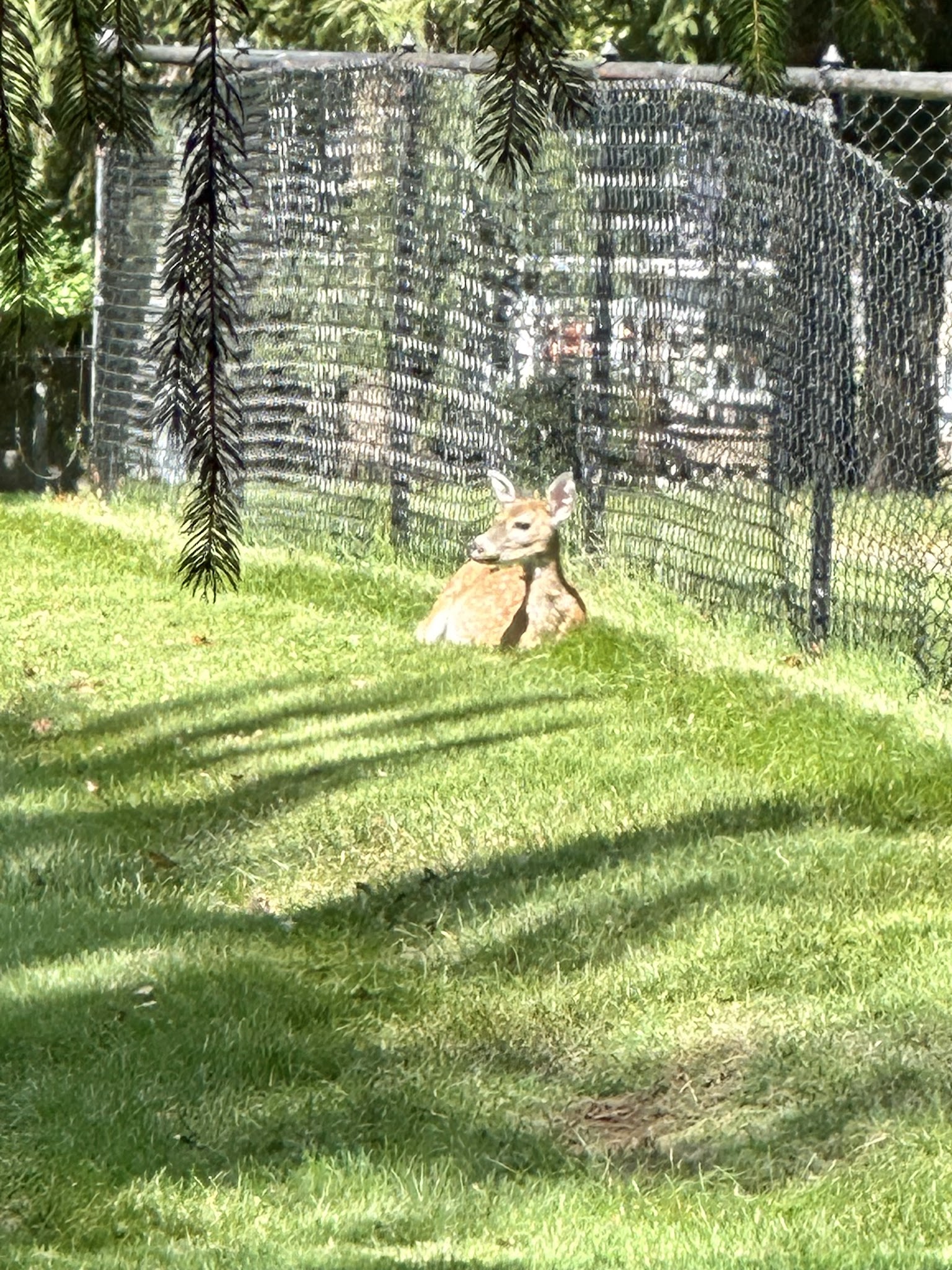 Ackerson Park - Holmdel, NJ