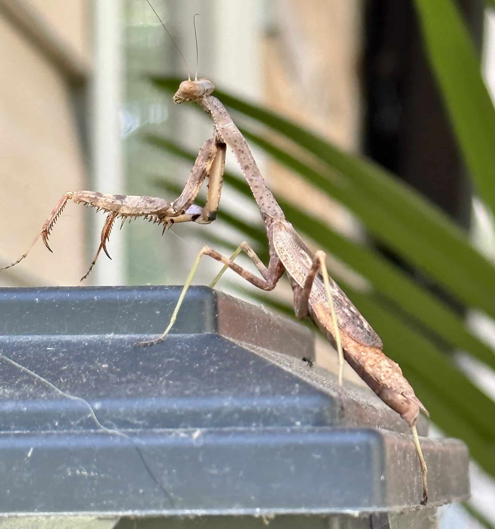 Ackerson Park - Holmdel, NJ