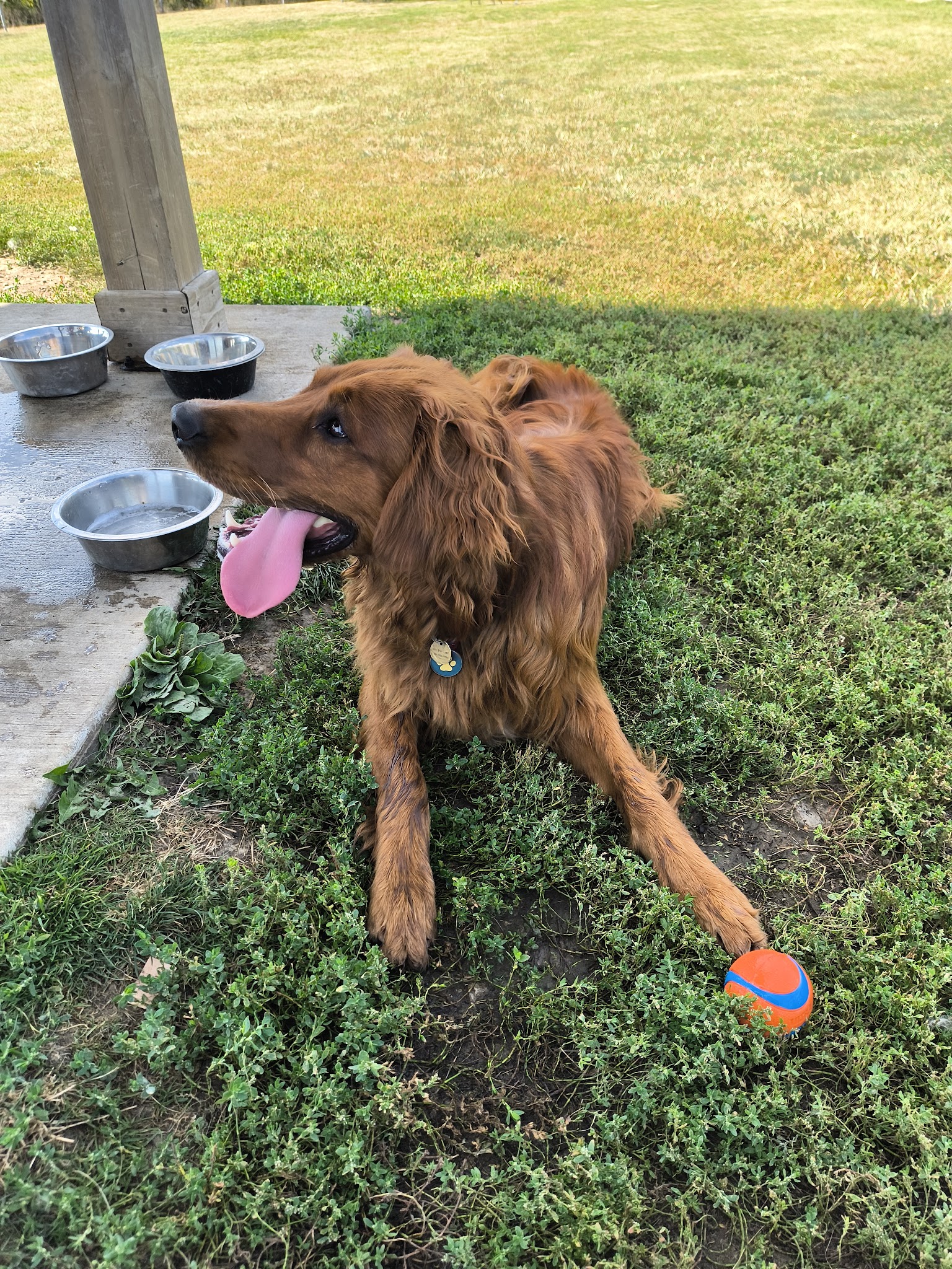 Trantina Farms Dog Park - Homer Glen, IL