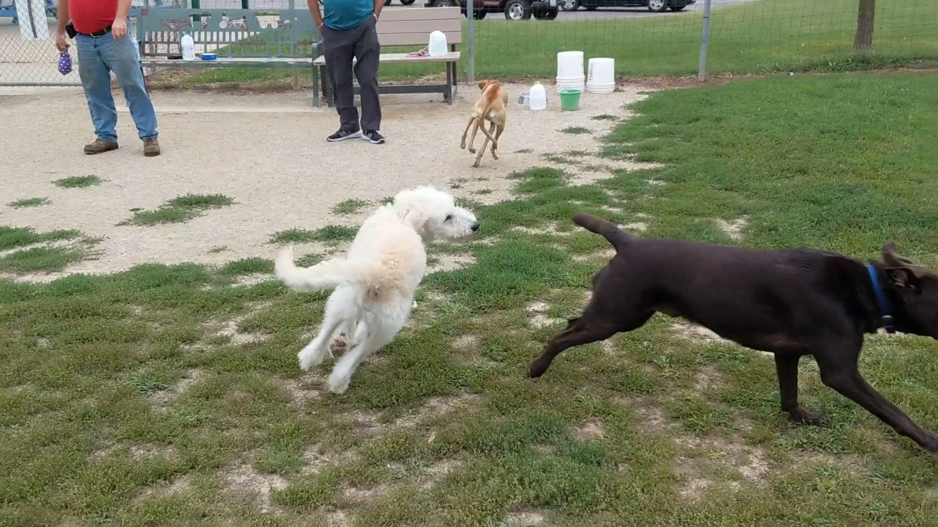 Trantina Farms Dog Park - Homer Glen, IL
