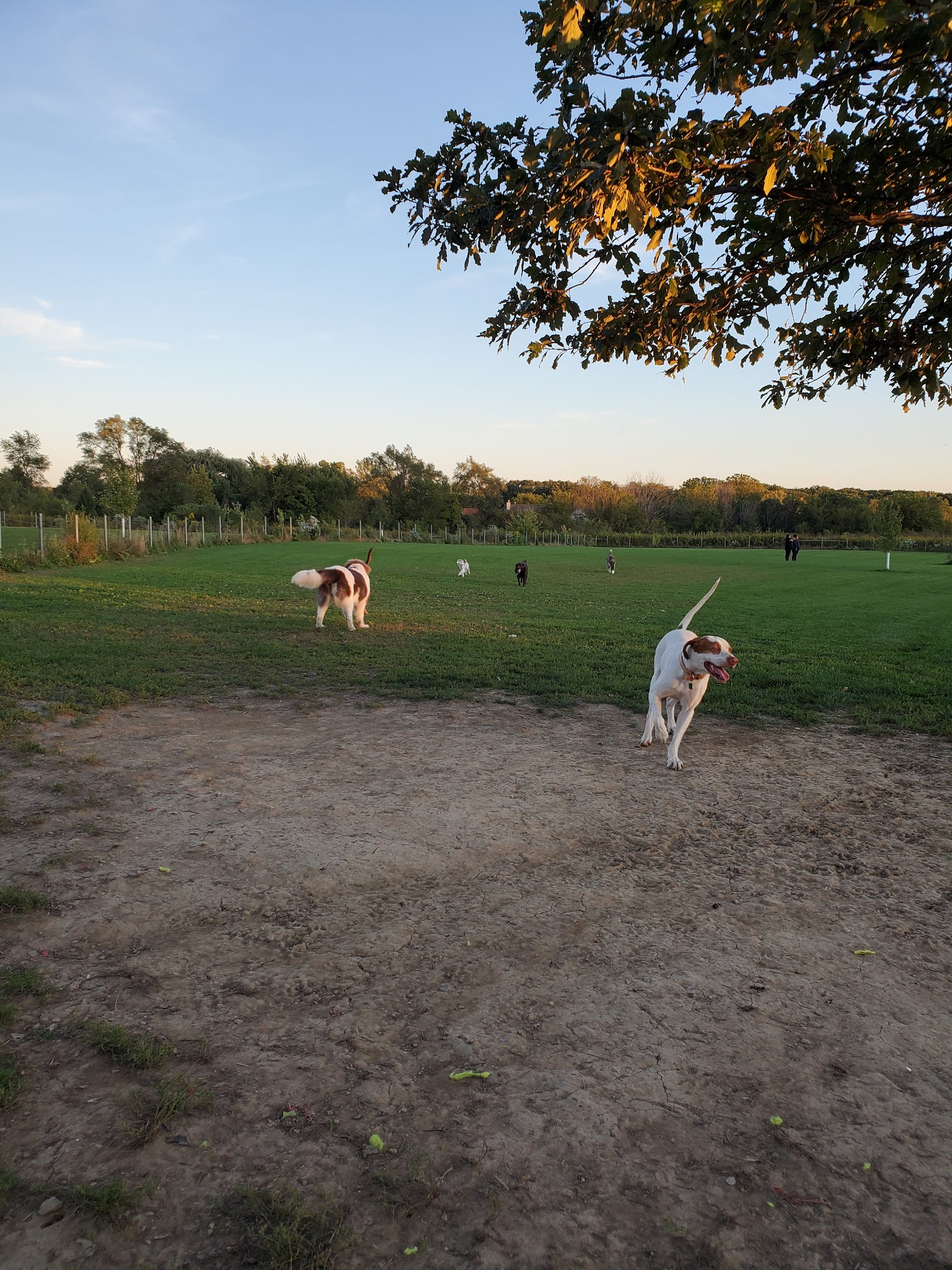 Trantina Farms Dog Park - Homer Glen, IL