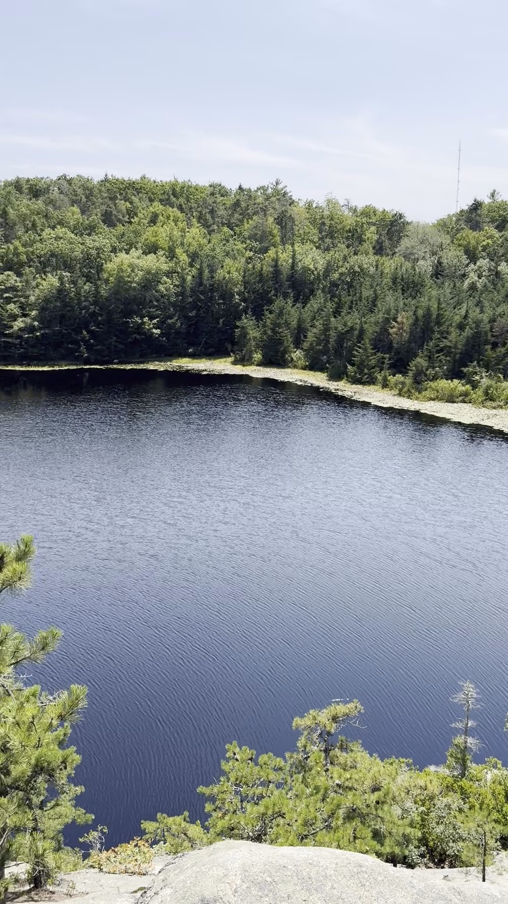 Long Pond Woods Wildlife Refuge - Hopkinton, RI