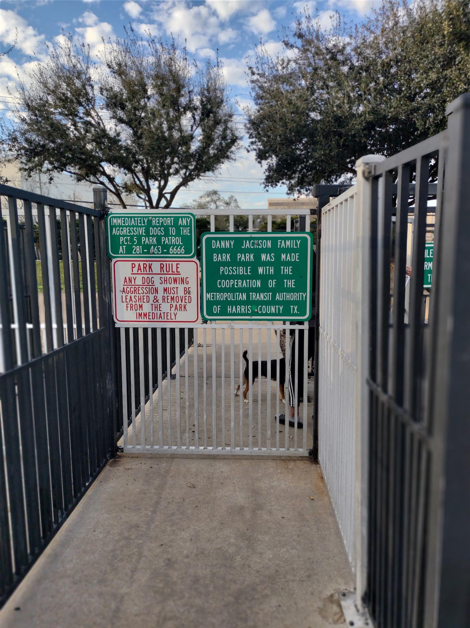 Bark Park - Houston, TX