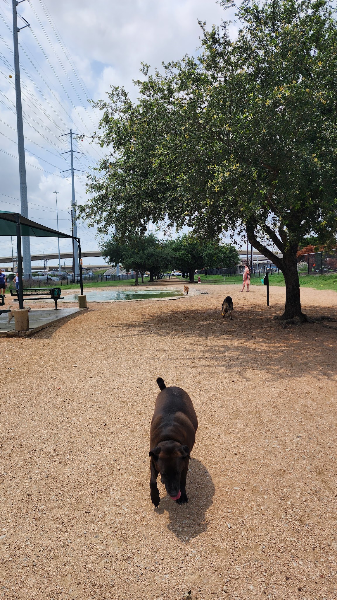 Bark Park - Houston, TX