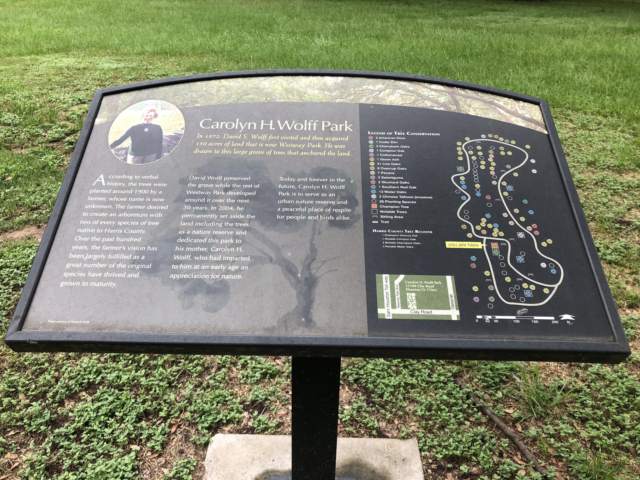 Carolyn H. Wolff Park - Houston, TX