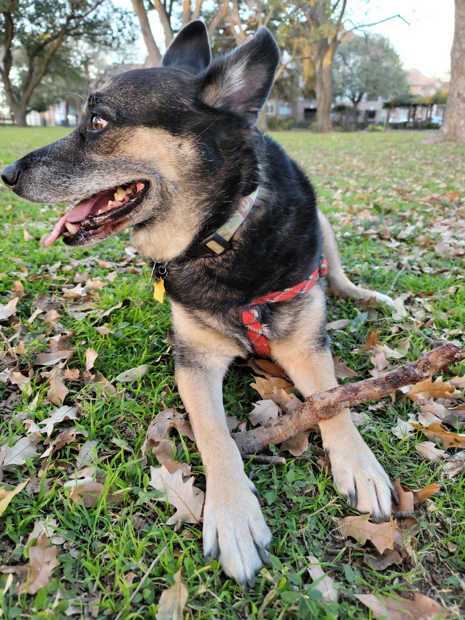 Carolyn H. Wolff Park - Houston, TX