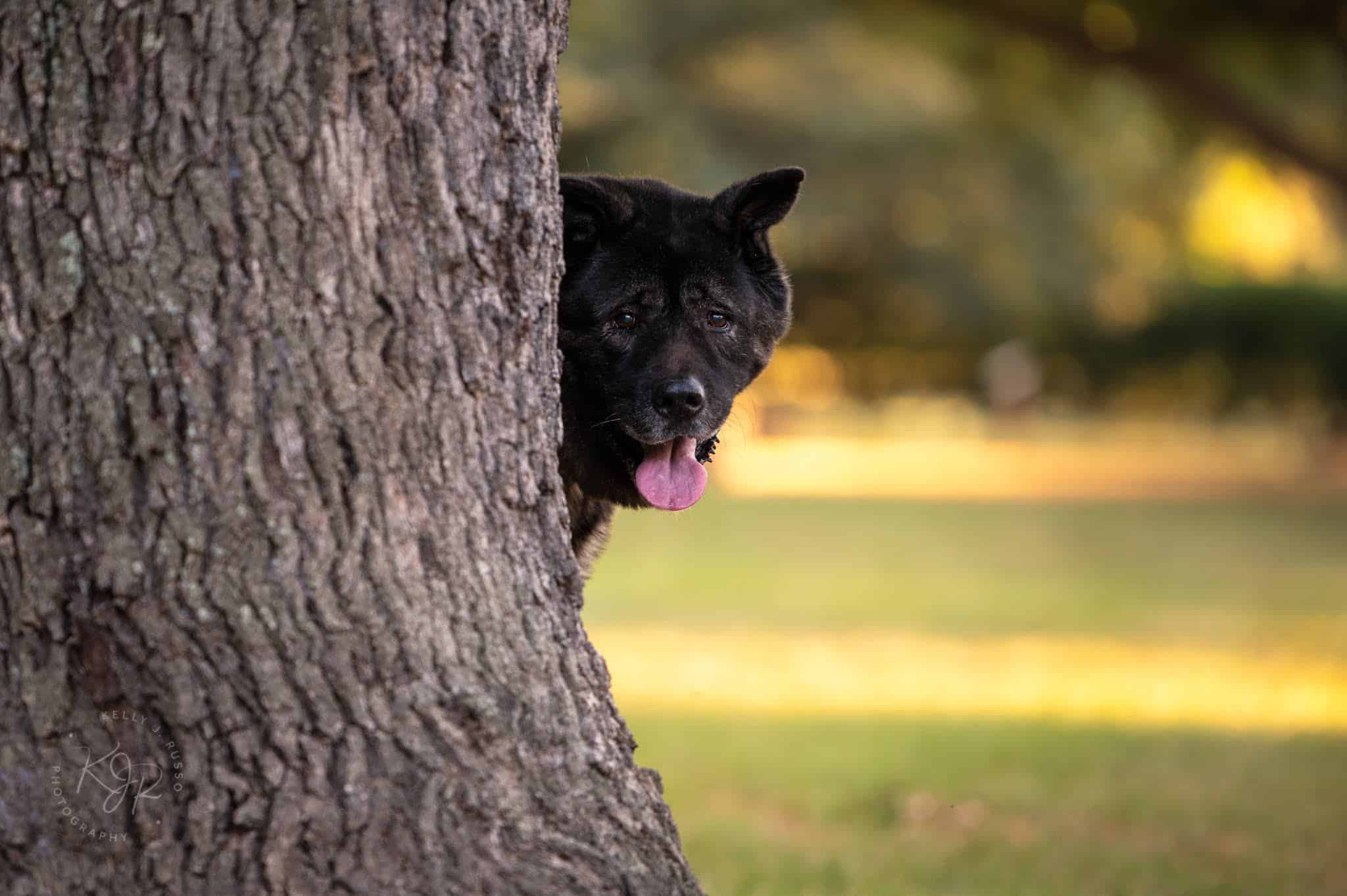 Carolyn H. Wolff Park - Houston, TX