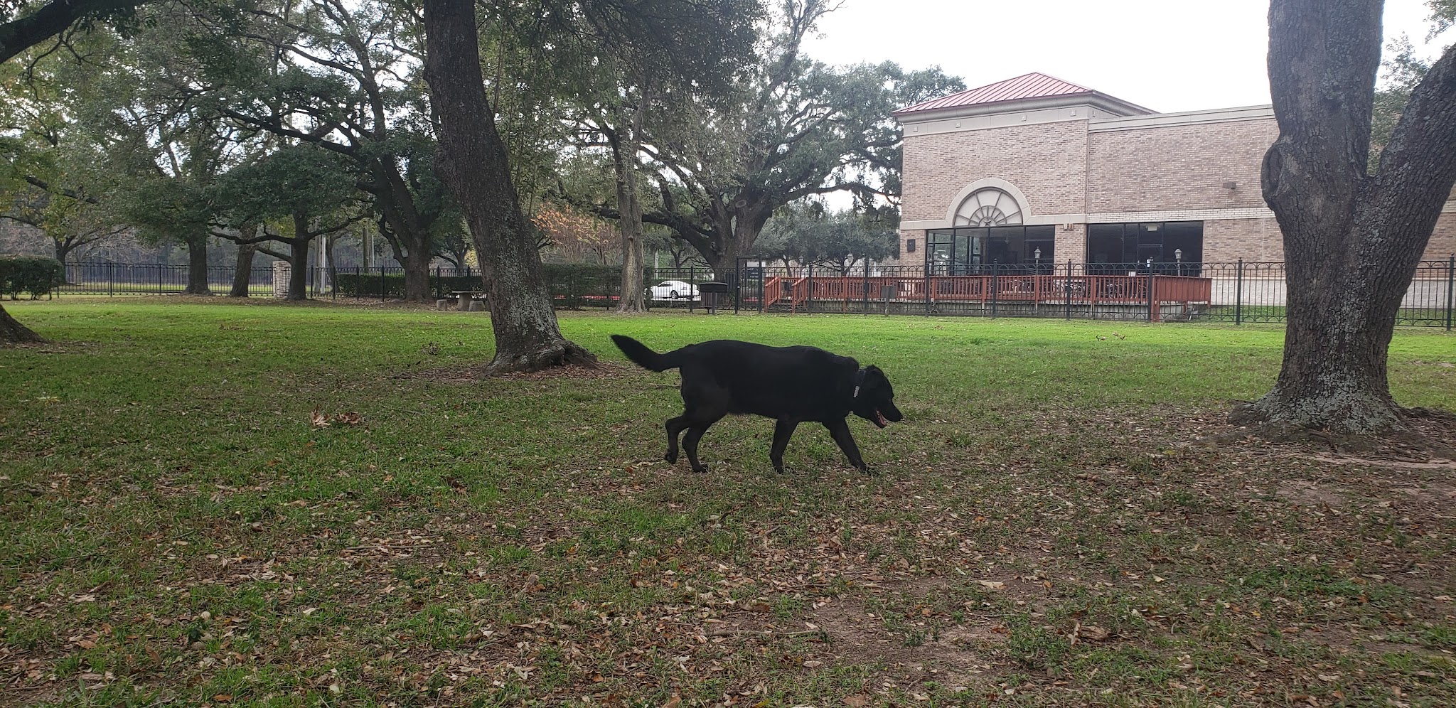 Carolyn H. Wolff Park - Houston, TX