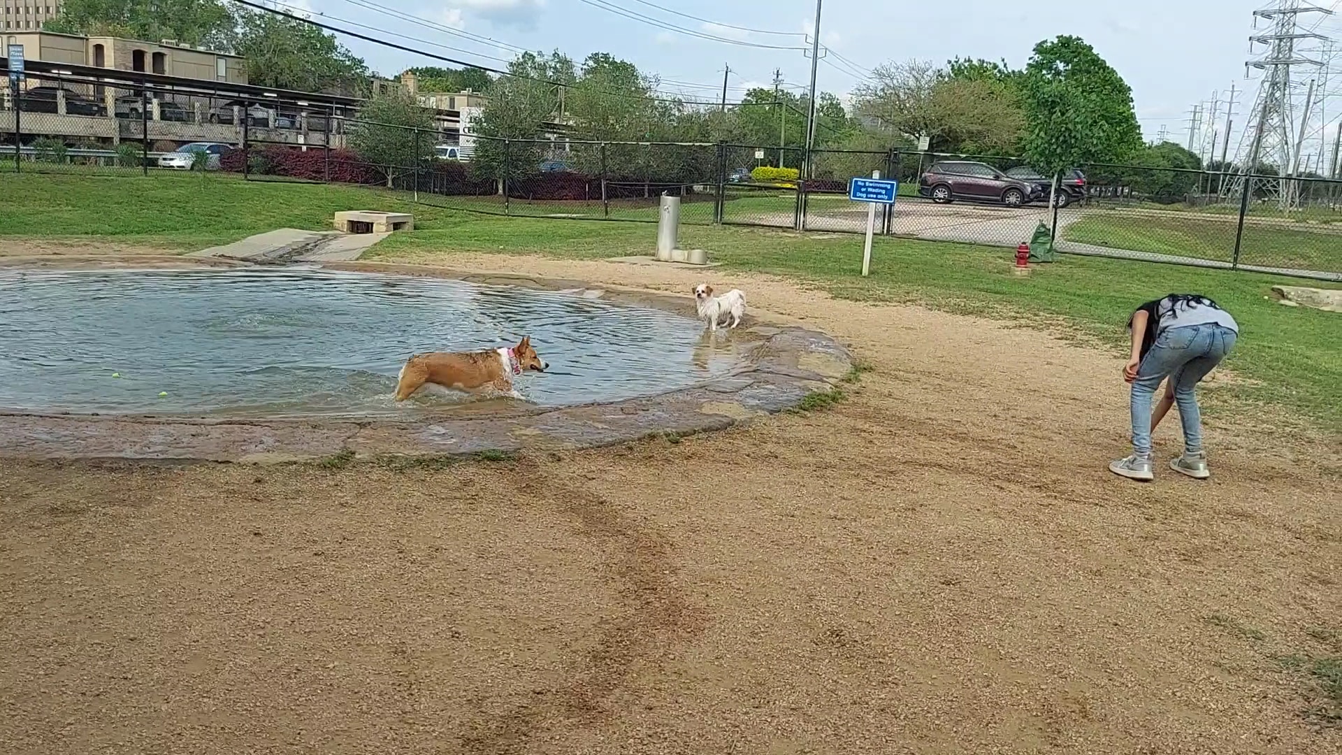 Danny Jackson Family Bark Park - Houston, TX