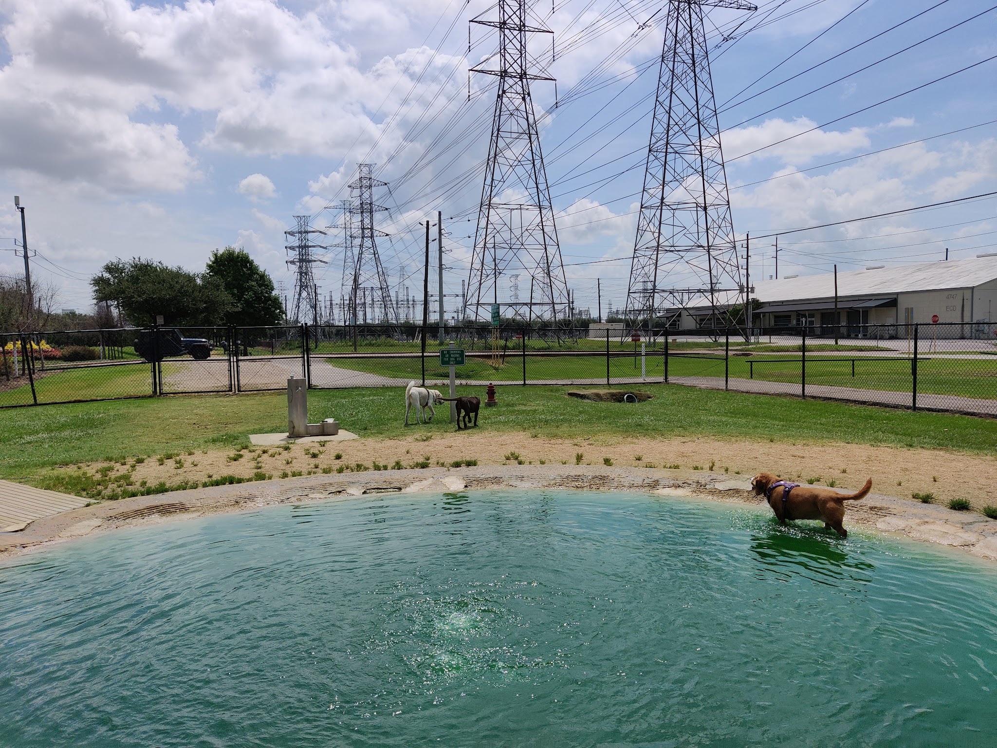 Danny Jackson Family Bark Park - Houston, TX