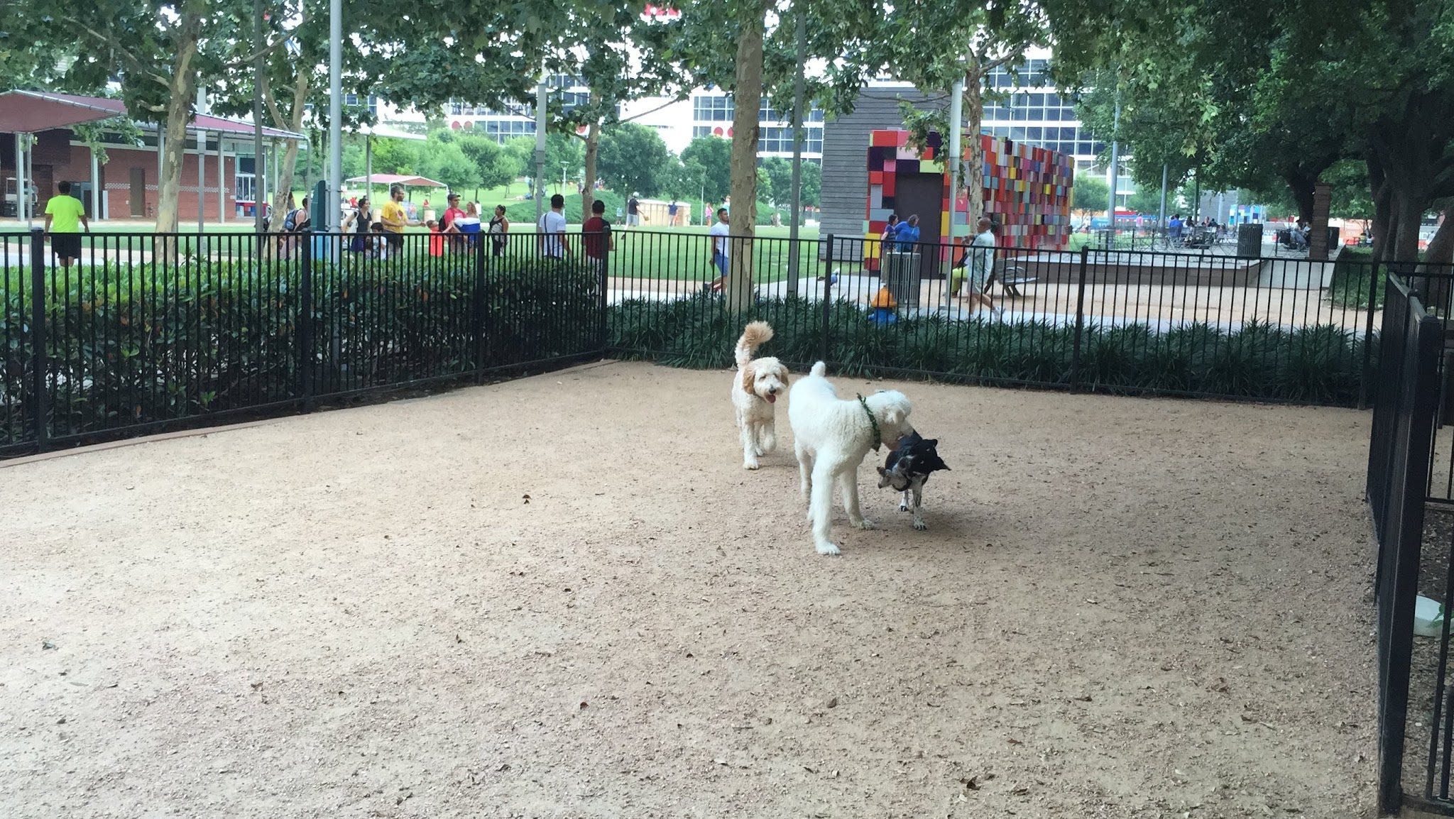 Discovery Green Dog Run - Houston, TX