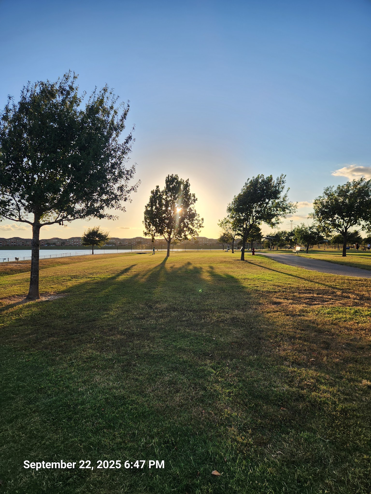 Dog Park Beach - Houston, TX