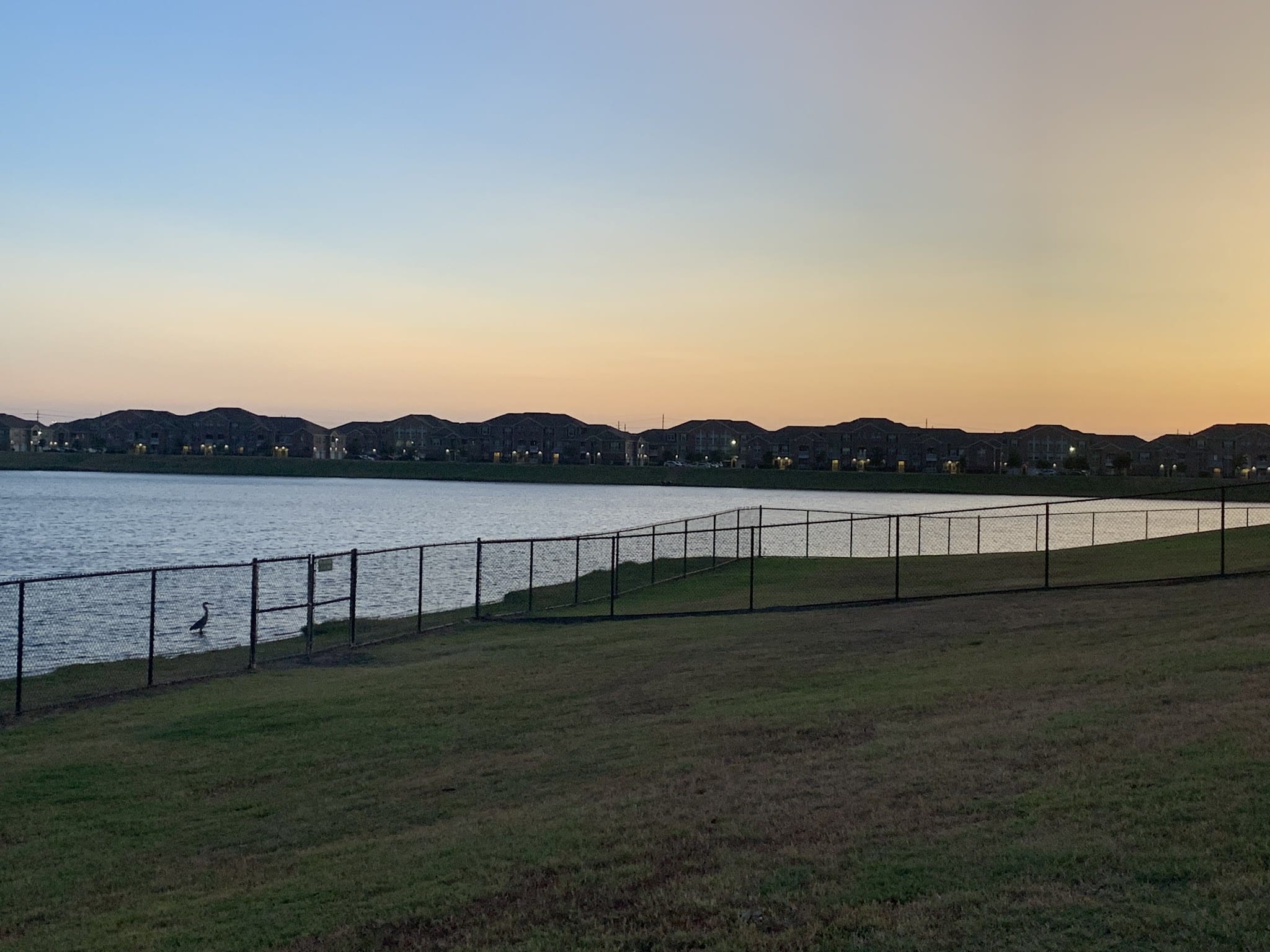 Dog Park Beach - Houston, TX