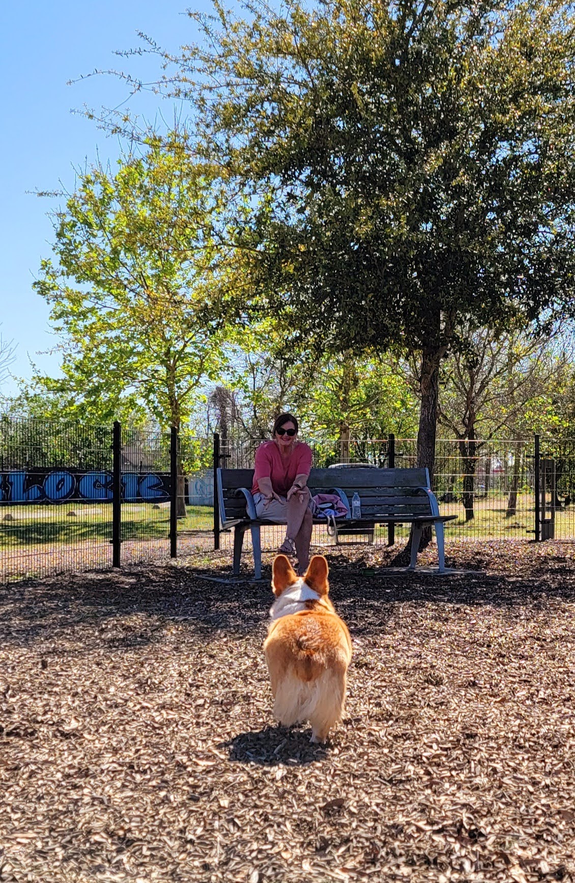 EaDog Park - Houston, TX