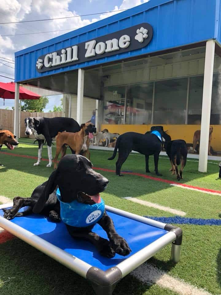 Houston Bark Park and Daycare - Houston, TX