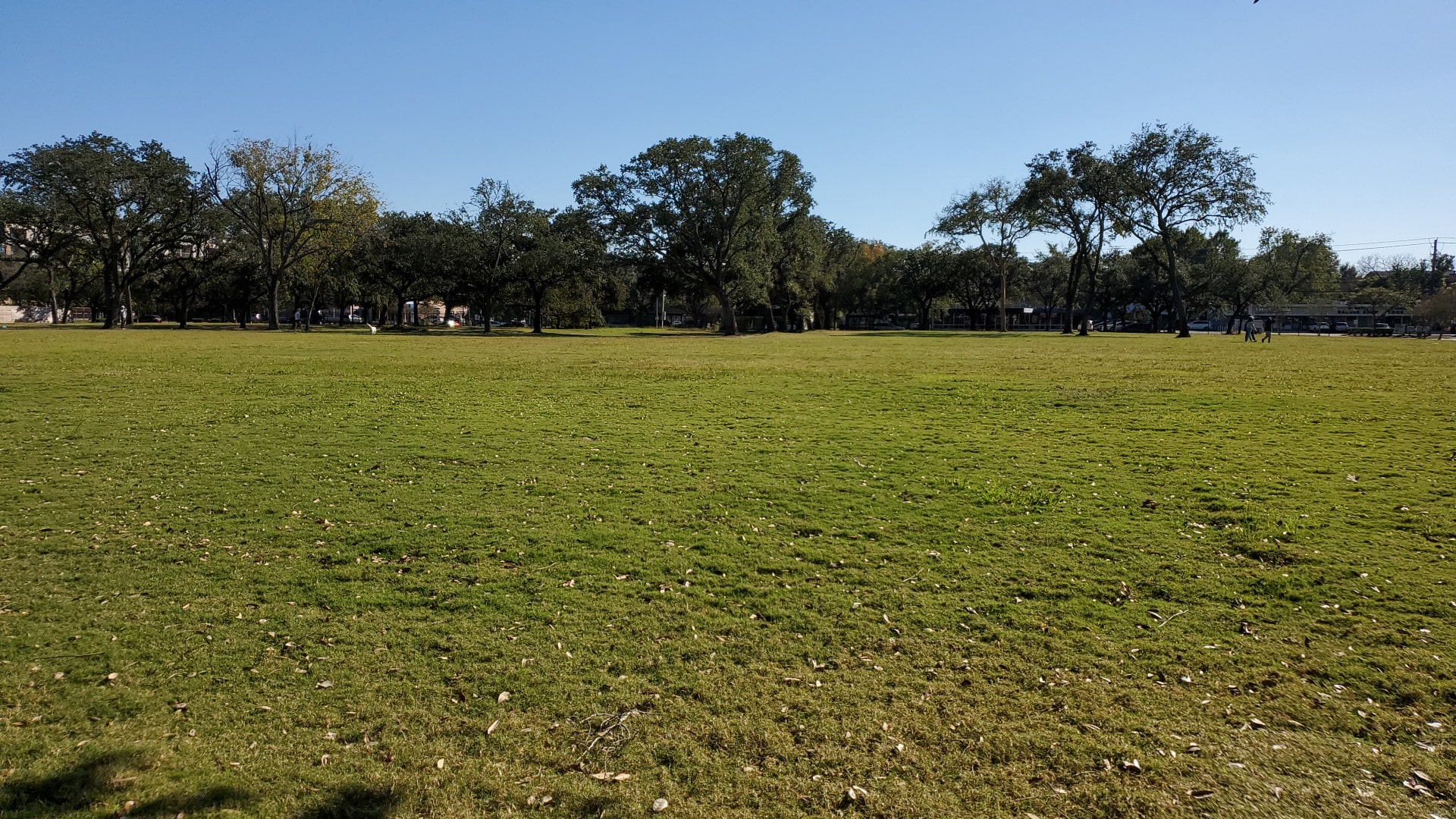 Menil green space - Houston, TX