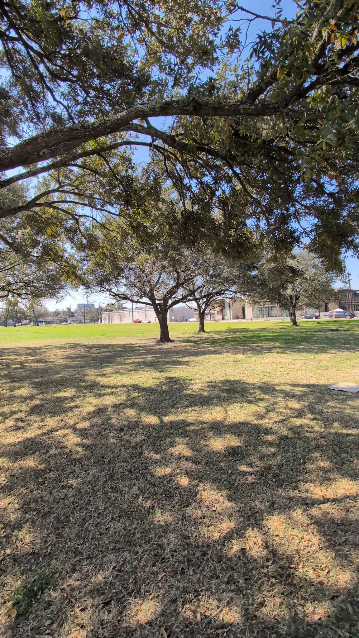 Menil green space - Houston, TX