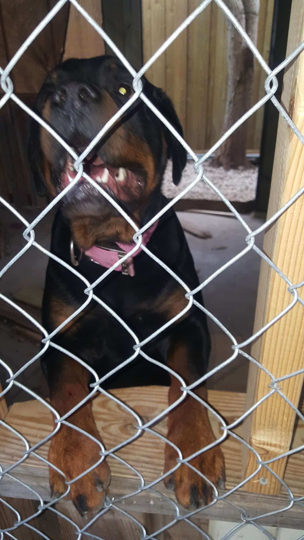 Mission Bend Community Park - Houston, TX