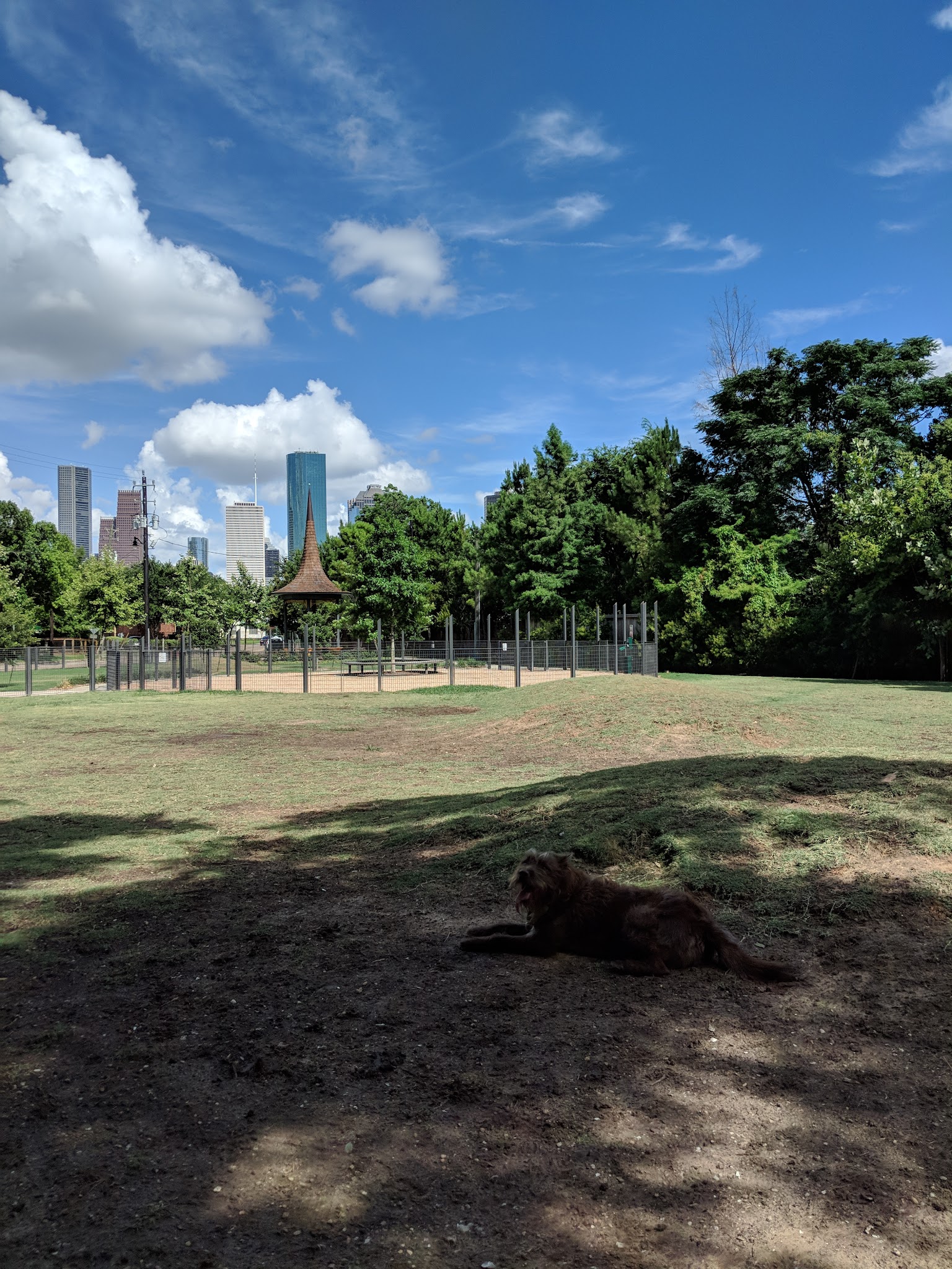 Park for Humans and Dogs - Houston, TX