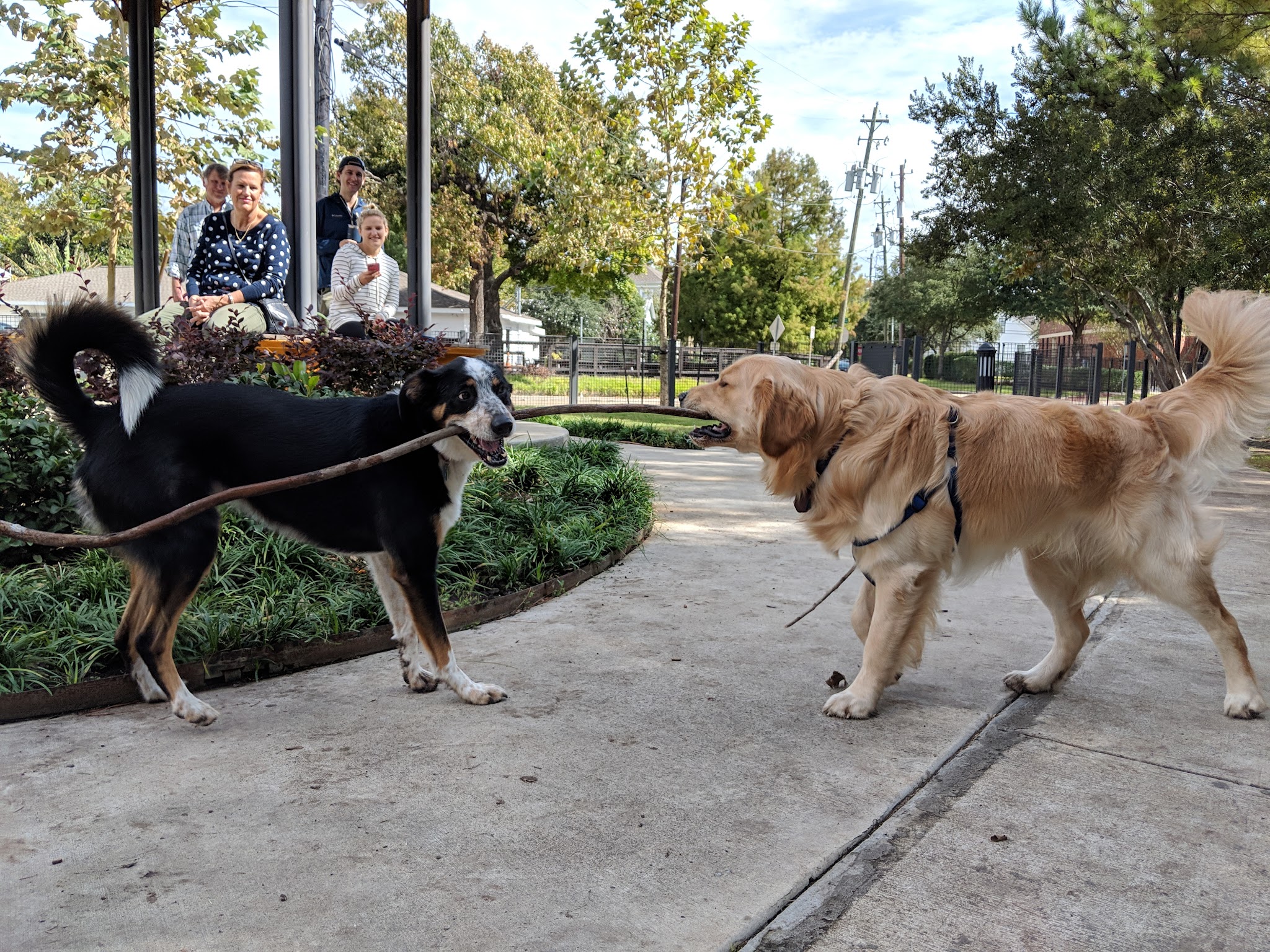 Park for Humans and Dogs - Houston, TX