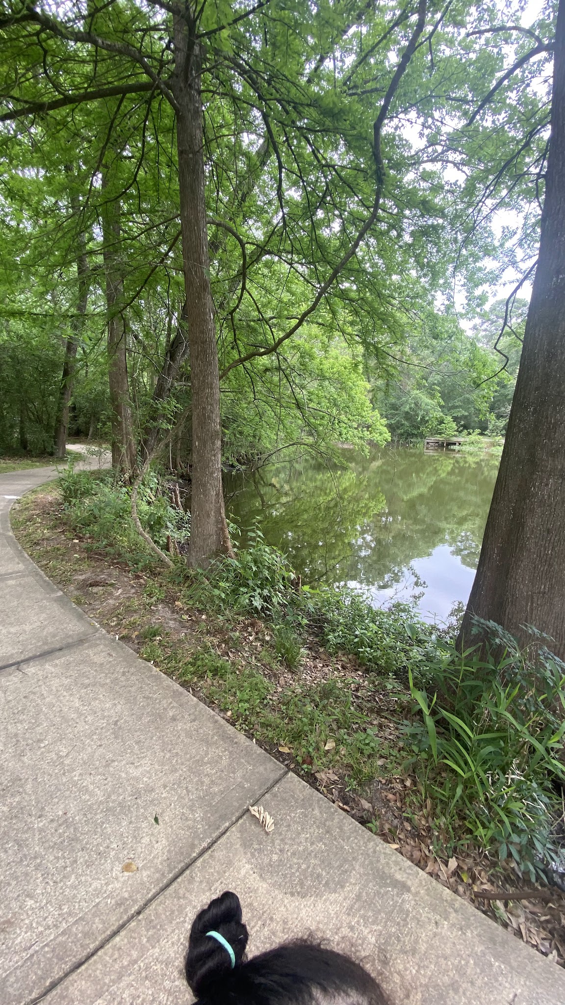 Parque lindo - Houston, TX