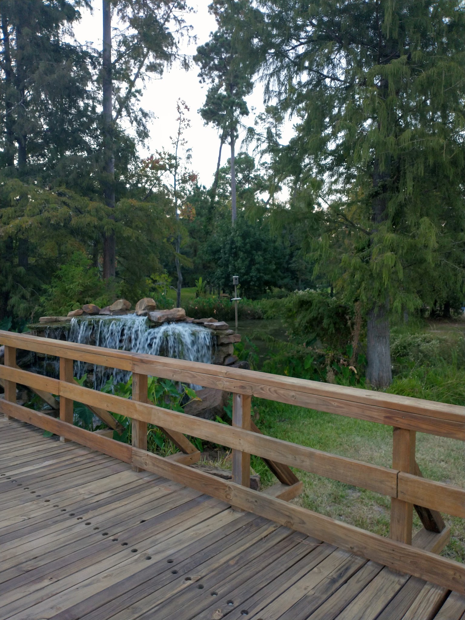 Parque lindo - Houston, TX