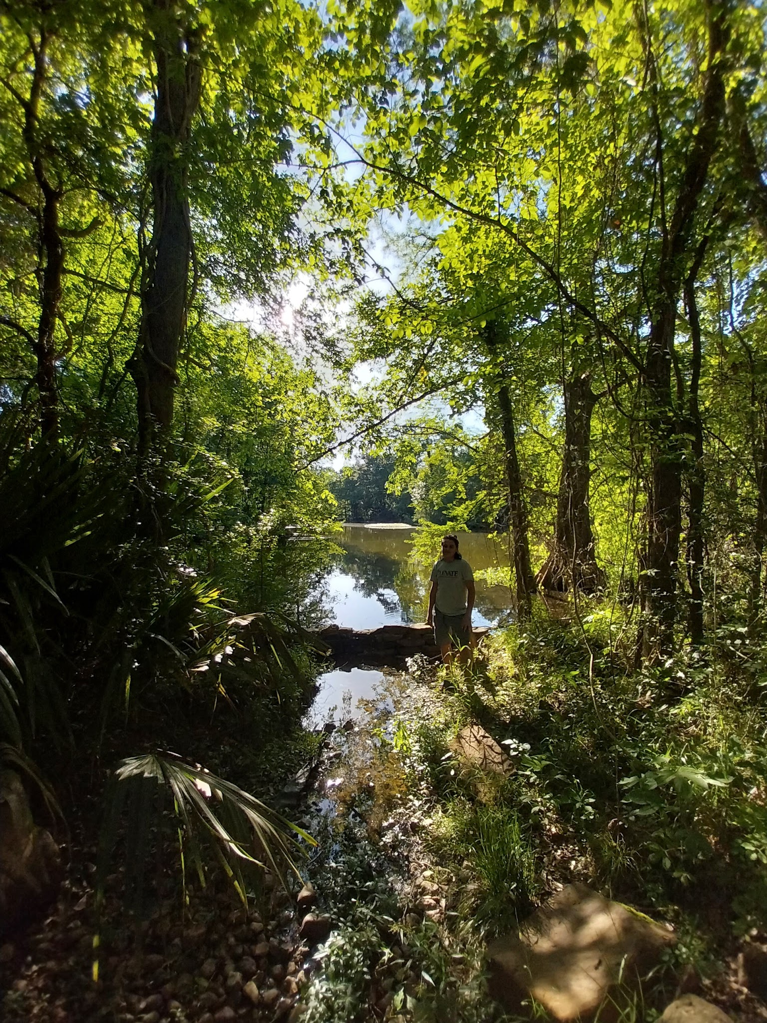 Parque lindo - Houston, TX