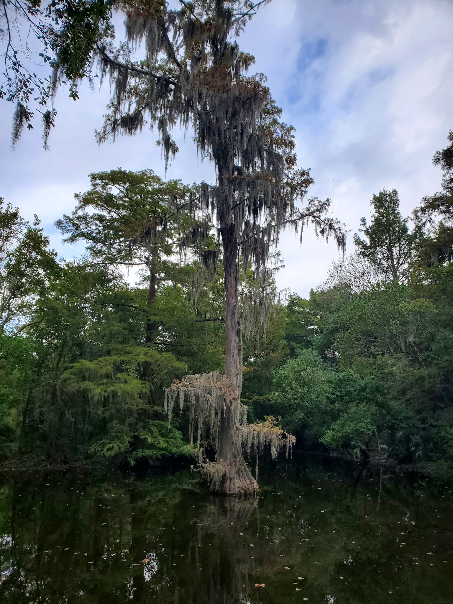 Ponderosa Walking Park - Houston, TX