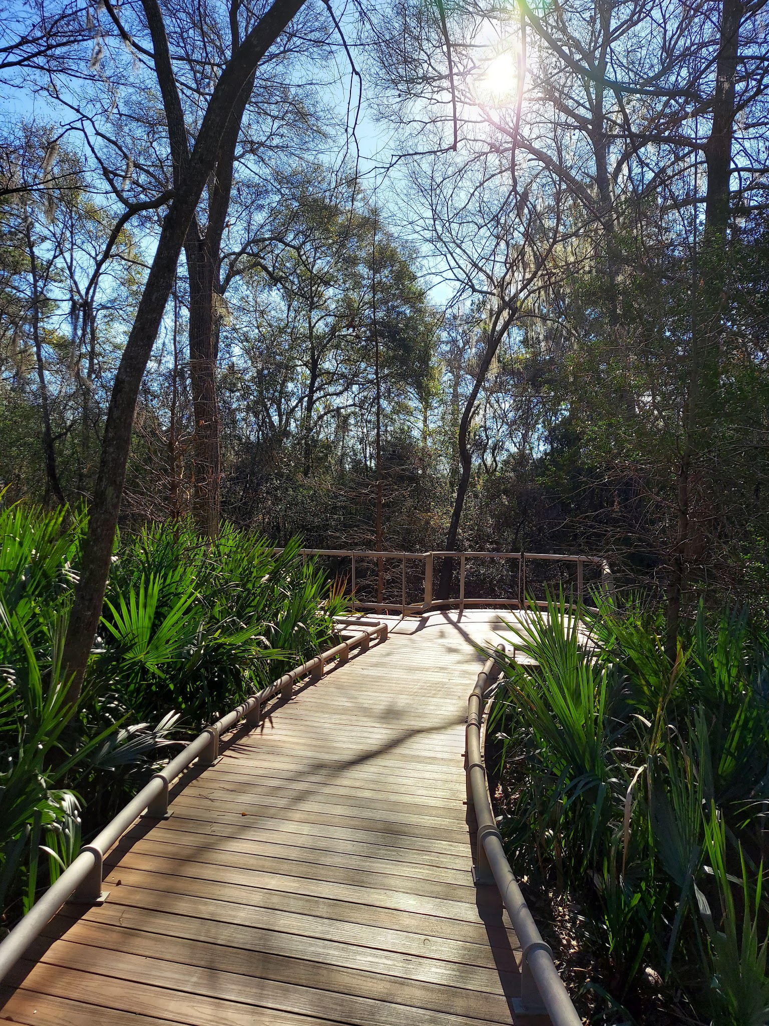 Ponderosa Walking Park - Houston, TX