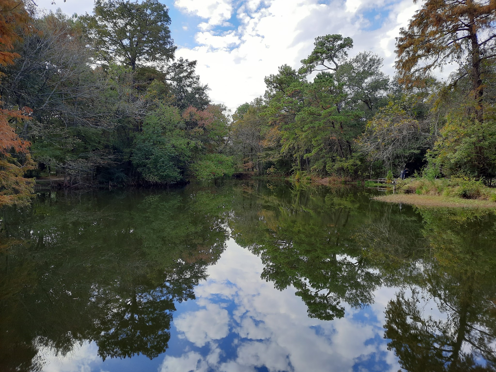 Ponderosa Walking Park - Houston, TX
