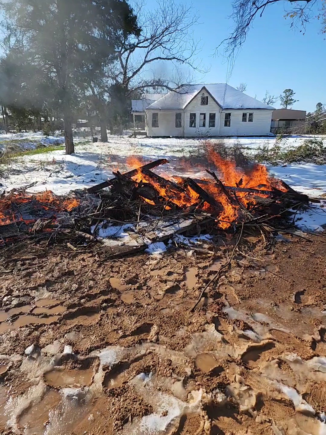 Raymond's Dog Park - Houston, TX