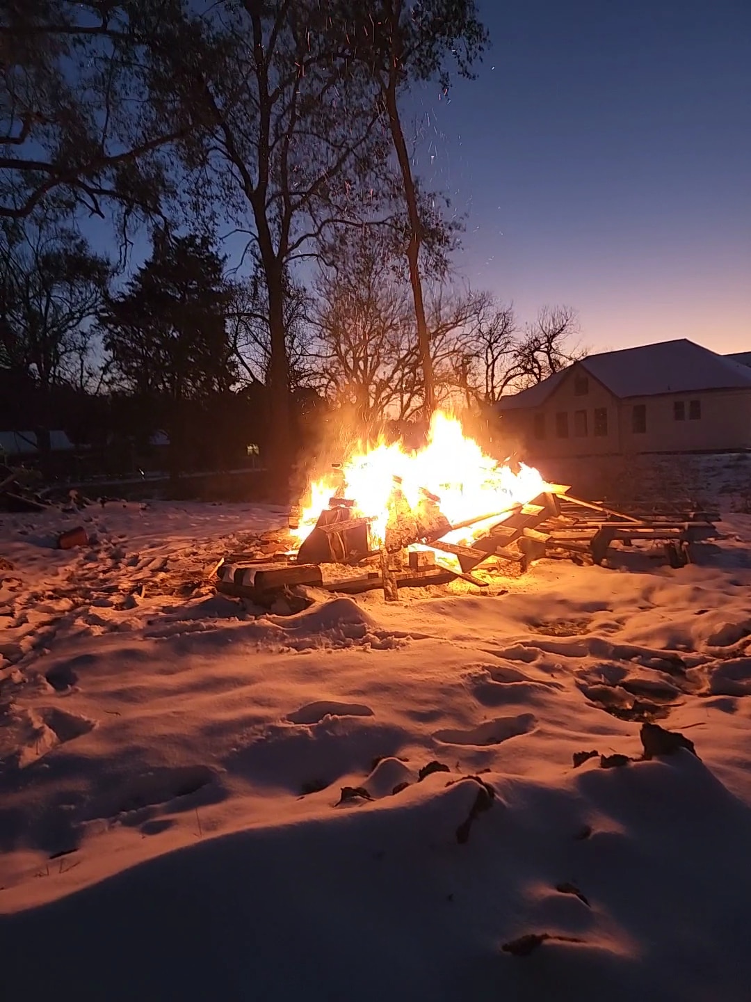 Raymond's Dog Park - Houston, TX